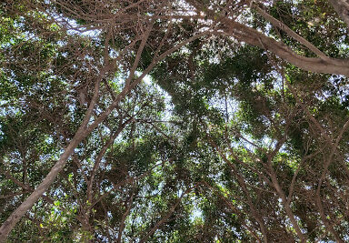 Cerrajería Monzón R | Servicio de Cerrajero en Ensenada 1 Cerrajería Monzón R | Servicio de Cerrajero en Ensenada