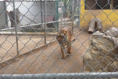 Cerrajería Acuario | Servicio de Cerrajero en Mazatlan 1 Cerrajería Acuario | Servicio de Cerrajero en Mazatlan
