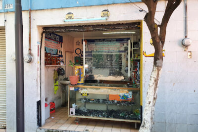 Vag-Keys Arista | Servicio de Cerrajero en Guadalajara 1 Vag-Keys Arista | Servicio de Cerrajero en Guadalajara