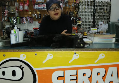 Cerrajería Melly's | Servicio de Cerrajero en Escuinapa de Hidalgo 1 Cerrajería Melly's | Servicio de Cerrajero en Escuinapa de Hidalgo