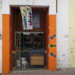 CERRAJERIA CHARLY | Servicio de Cerrajero en Zacapoaxtla 2 Cerrajeria, Rufo | Servicio de Cerrajero en Zacapoaxtla